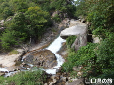 展望台から見る鳴滝