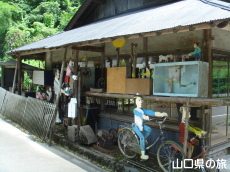 ���c���炭��l�`����