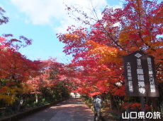 龍福寺の紅葉
