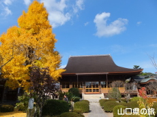 龍福寺の本堂