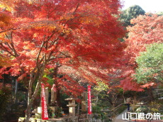 両足寺の紅葉
