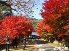 両足寺の紅葉