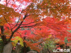両足寺の紅葉