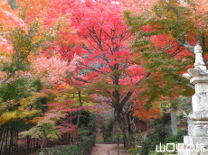 両足寺の紅葉