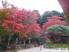 両足寺の紅葉