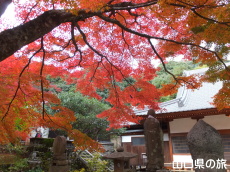 両足寺の紅葉