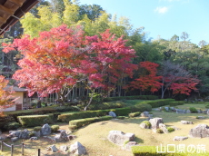 ��M��̍g�t