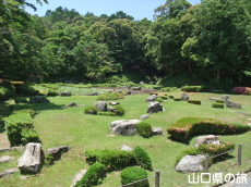 ��h����M��