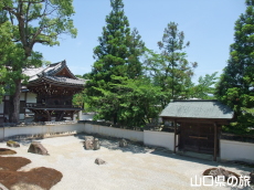 ����i�Ȃ�߂��Ă�)