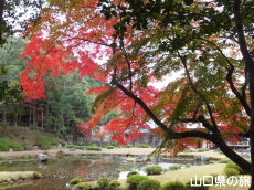 ��h����M��̍g�t