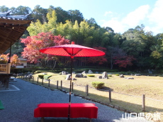 ��h����M��̍g�t