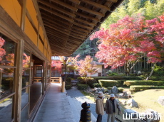 ��h����M��̍g�t