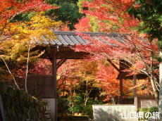 ��h����M��̍g�t