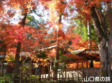 ��h����M��̍g�t