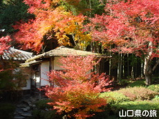 ��h����M��̍g�t