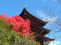 香山公園の紅葉