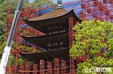 瑠璃光寺五重塔「令和の大改修」