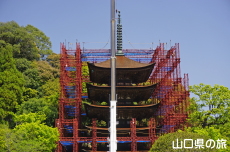 瑠璃光寺五重塔「令和の大改修」