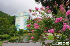 令和の大改修と百日紅