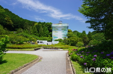 令和の大改修と紫陽花