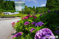 �ߘa�̑���C�Ǝ��z��