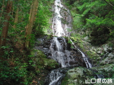 錦鶏の滝