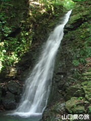 錦鶏の滝
