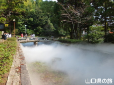 �uLIFE-WELL�v�C���X�^���[�V����