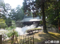 �uLIFE-WELL�v�C���X�^���[�V����