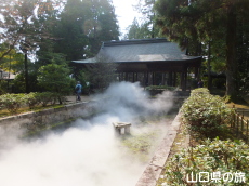 �uLIFE-WELL�v�C���X�^���[�V����