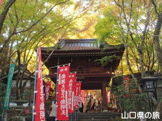 �������̑�C�`���E