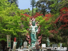 �吹�s������