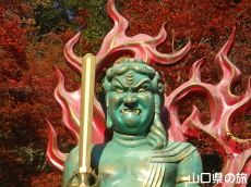 �吹�s������