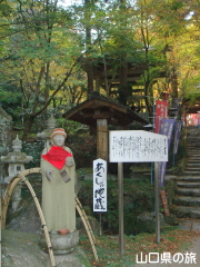 ��������n��