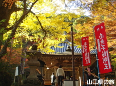 �������̑�C�`���E