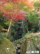 鼓の滝と紅葉
