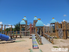 �����R����