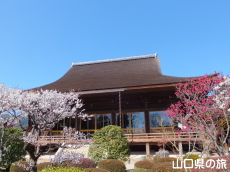 �������̔~