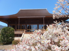 �������̔~