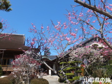 �������̔~