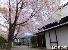 �������̃I�S�I���U�N��