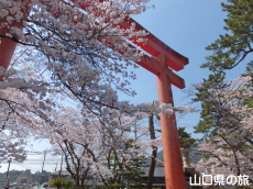 ����_�Ђ̍�