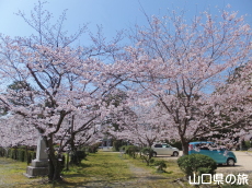 ����_�Ђ̍�