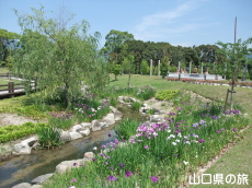 �ېV�S�N�L�O�����̉ԏҊ�