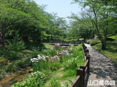 �ېV�S�N�L�O�����̉ԏҊ�