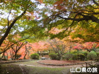 木戸公園の紅葉