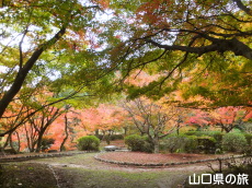 �،ˌ����̍g�t