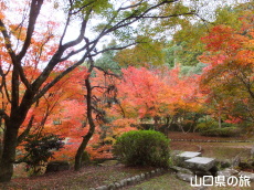 �،ˌ����̍g�t