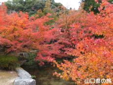 �،ˌ����̍g�t