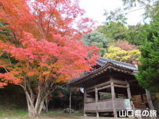 �،ː_�Ђ̍g�t